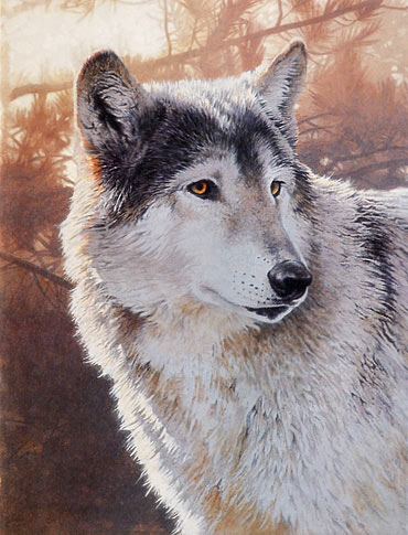 wolf painting demonstration, acrylic art lesson, acrylic painting  instruction, wildlife painting tutorials