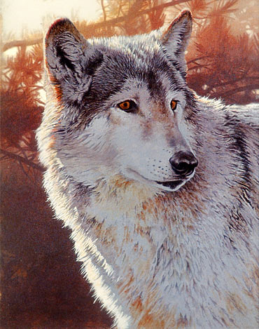 wolf painting