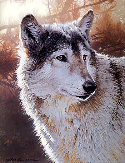 wolf painting, acrylic painting lesson, wildlife painting  tutorials, wolf demo